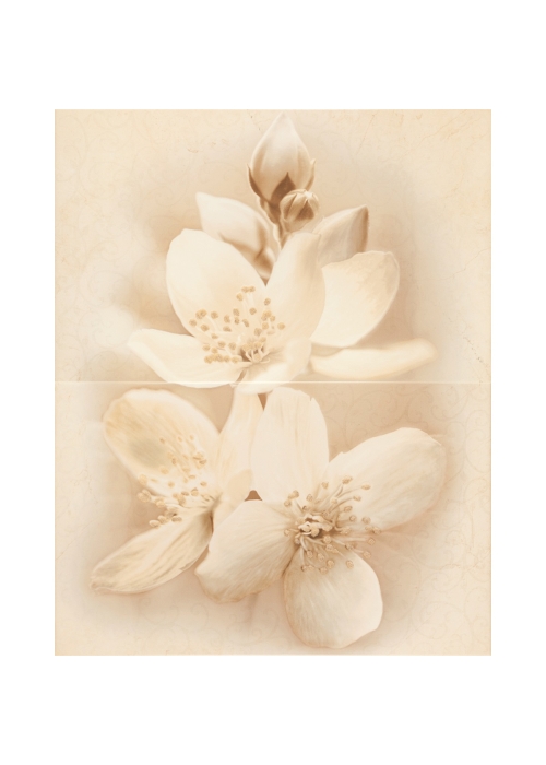 Плитка керамогранітна Cersanit DEC DIANA FLOWER ДЕКОР2 TDZZ1263852386