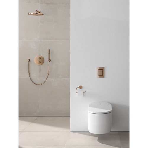 Тримач туалетного паперу Grohe Essentials (40689DA1) Бронза