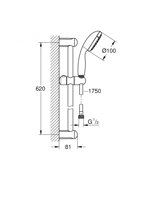 Душовий гарнітур Grohe New Tempesta 100 27598001