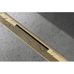 Верхня частина Hansgrohe "RainDrain Flex" для каналу (пристінна) 1000 мм Polished Gold Optic 56053990