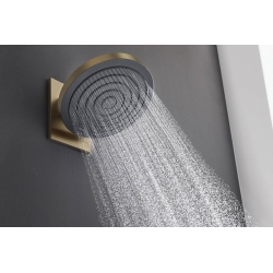 Верхній душ Hansgrohe Pulsify 260 1jet EcoSmart, Brushed Bronze (24141140)