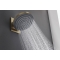 Верхний душ Hansgrohe Pulsify 260 1jet EcoSmart, Brushed Bronze (24141140)