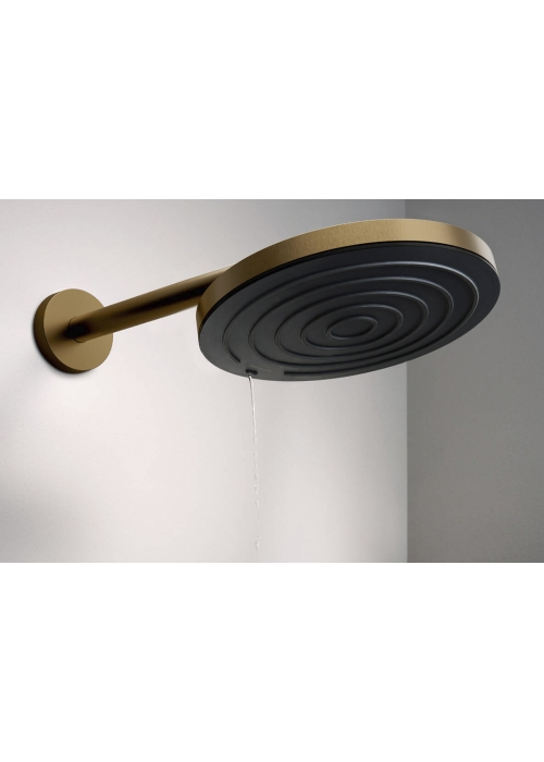 Верхний душ Hansgrohe Pulsify 260 1jet, Brushed Bronze (24140140)