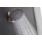 Кронштейн для верхнього душу Hansgrohe Pulsify 260, Brushed Bronze (24149140)