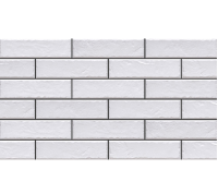 Плитка Cerrad Elewacja Foggia Bianco 6,5х24,5