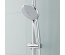 Душовий гарнітур GROHE Euphoria 110 Duo 27230001