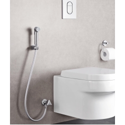 Гігієнічний душ GROHE Tempesta-F Trigger Spray 27512001