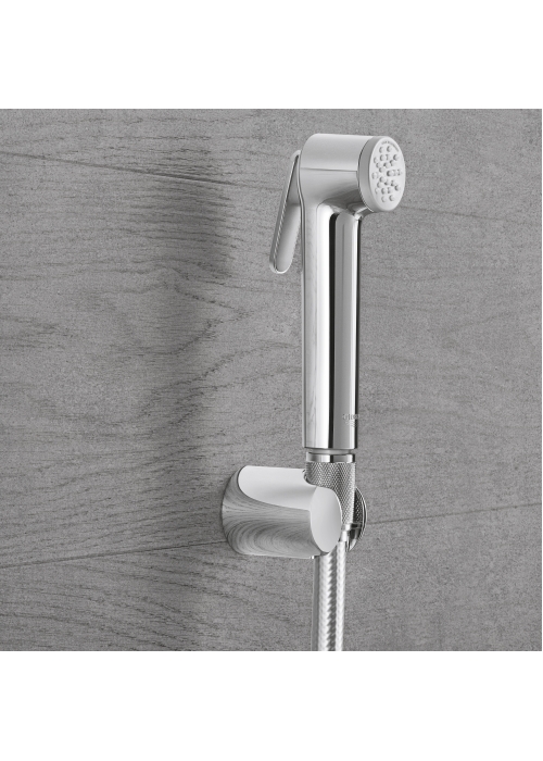 Гігієнічний душ GROHE Tempesta-F Trigger Spray 30 27513001