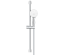 Душовий гарнітур Grohe New Tempesta 110 27598003