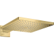 variant