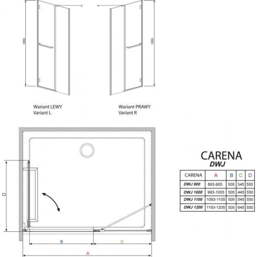 Душові двері RADAWAY Carena DWJ 100, 34322-01-01NL