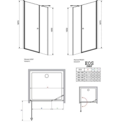 Душевая дверь RADAWAY Eos DWS 100, 37990-01-01NR