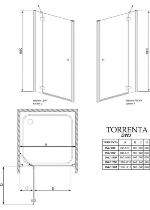 Душові двері RADAWAY Torrenta DWJ 100, 32020-01-01N R