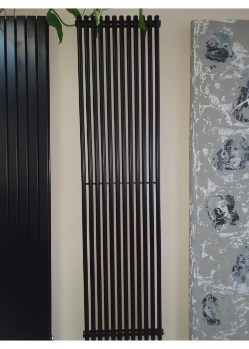 Вертикальный радиатор Betatherm Praktikum 2, H-1800 мм, L-425 мм PV 2180/11 9005M 99