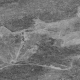 variant