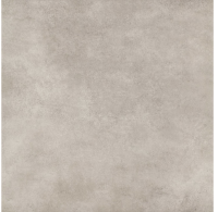 Плитка керамогранітна Cersanit Colin Light Grey RECT 59.8x59.8x8 TGGR1013834937