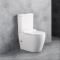 Унитаз компакт Rosa Alomouc с сидением дюропласт soft-close, 1219A